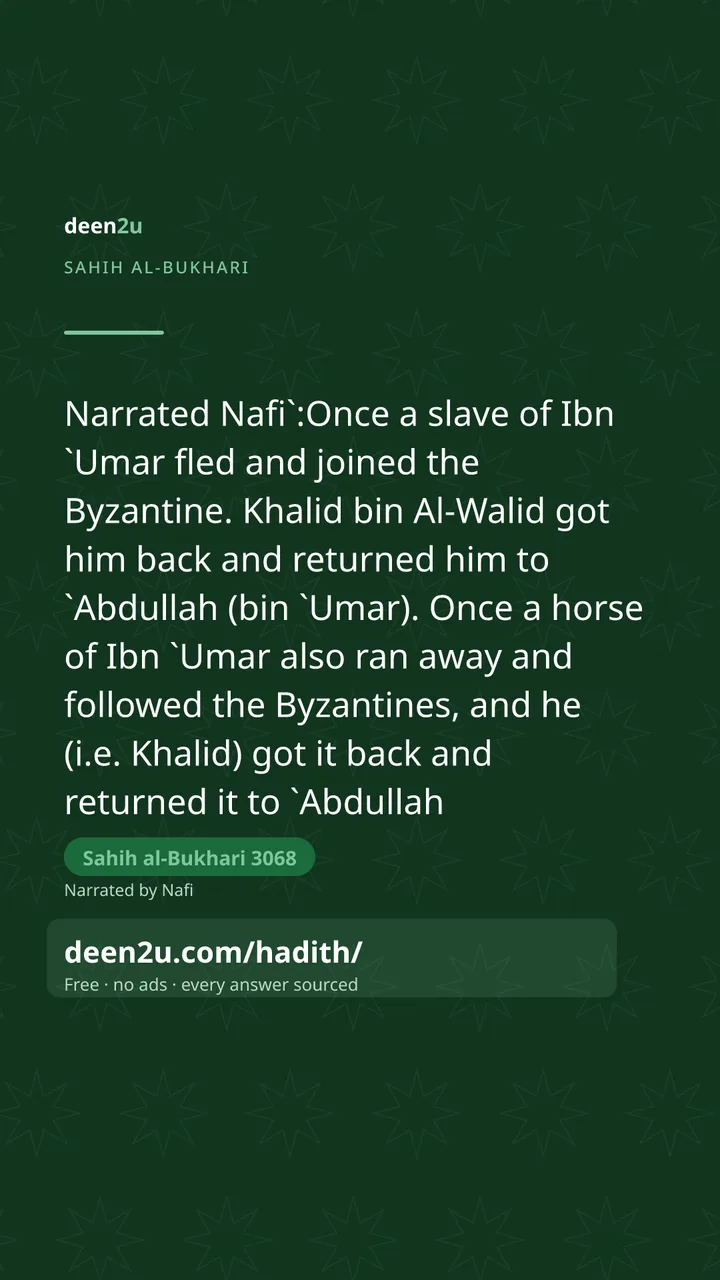 Sahih al-Bukhari 3068