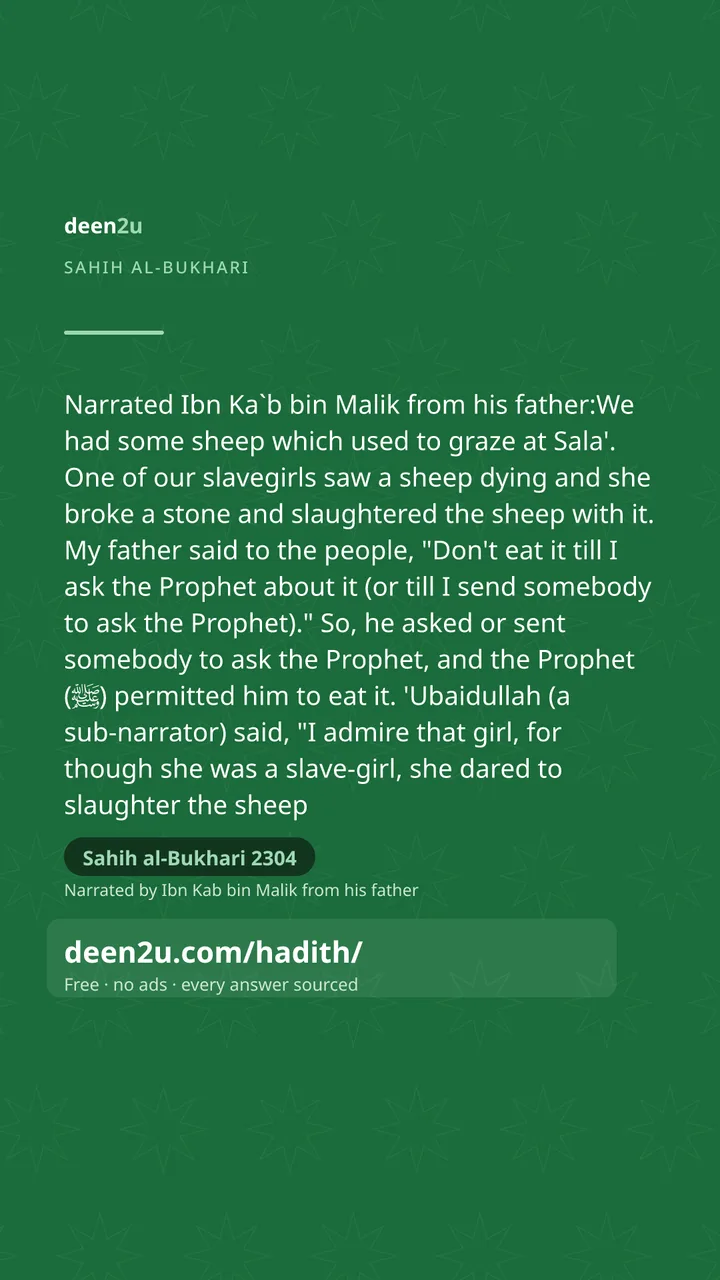 Sahih al-Bukhari 2304