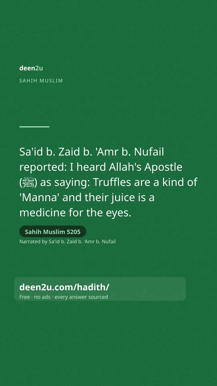 Sahih Muslim 5205