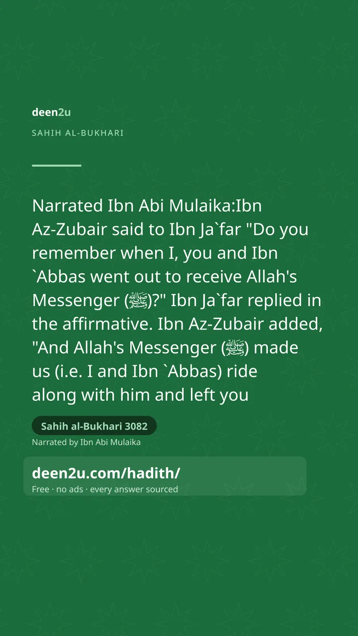 Sahih al-Bukhari 3082