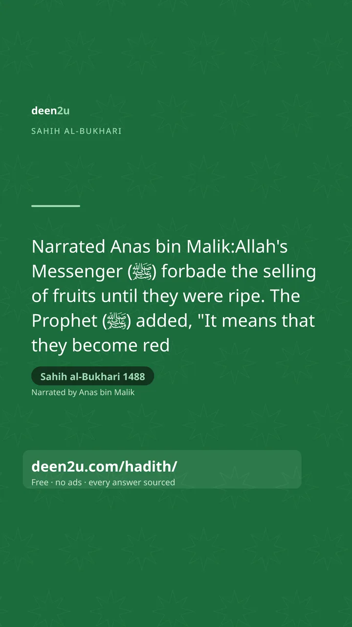 Sahih al-Bukhari 1488