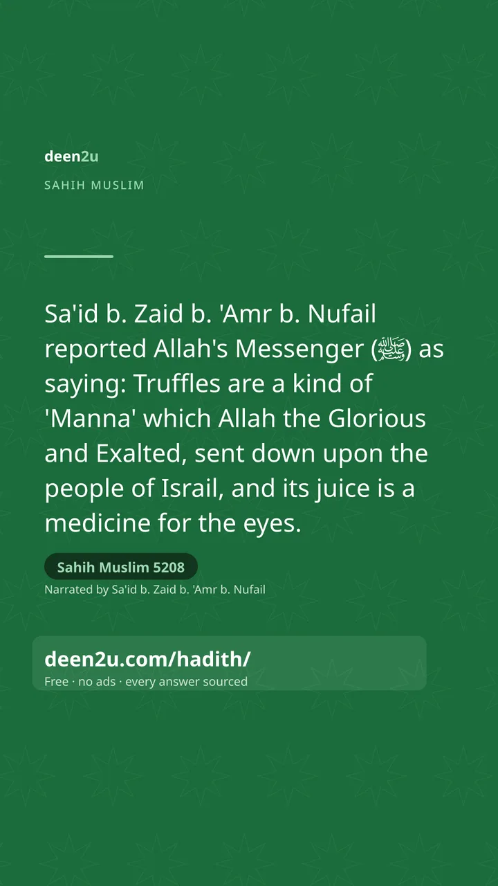 Sahih Muslim 5208