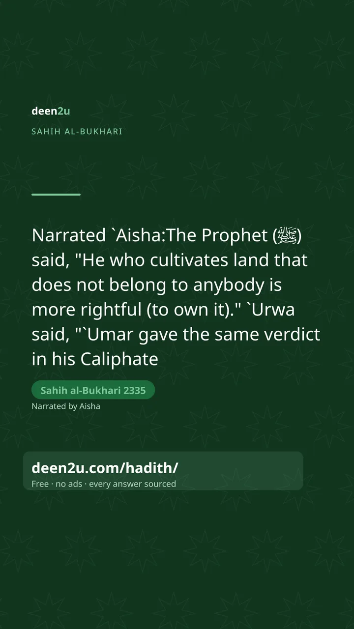 Sahih al-Bukhari 2335