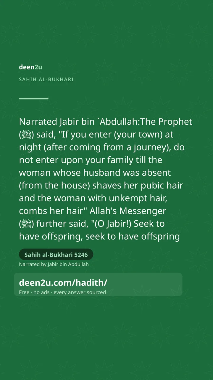 Sahih al-Bukhari 5246