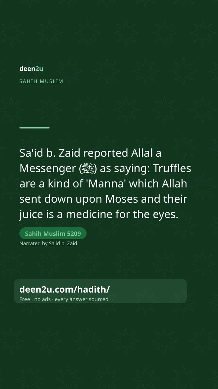 Sahih Muslim 5209