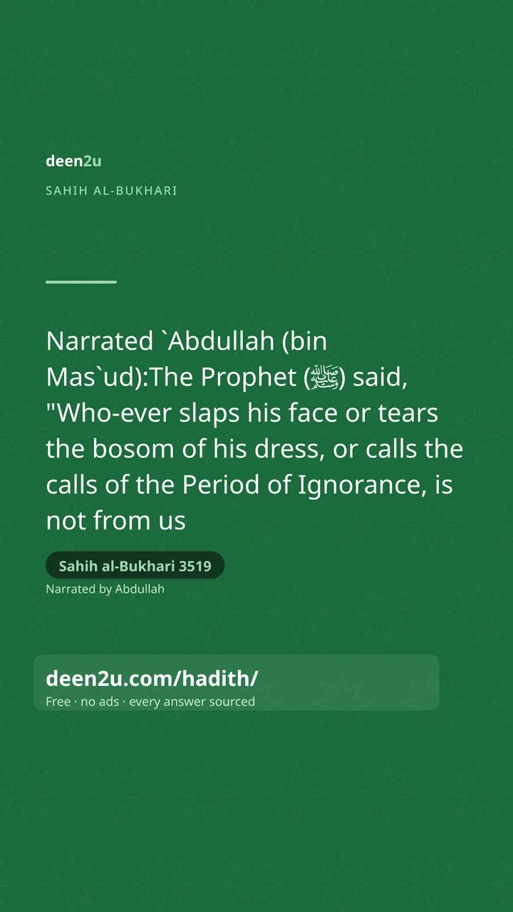 Sahih al-Bukhari 3519
