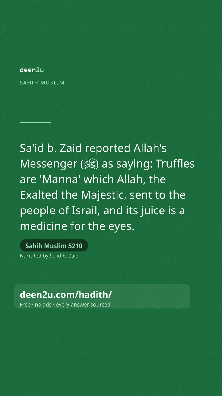 Sahih Muslim 5210