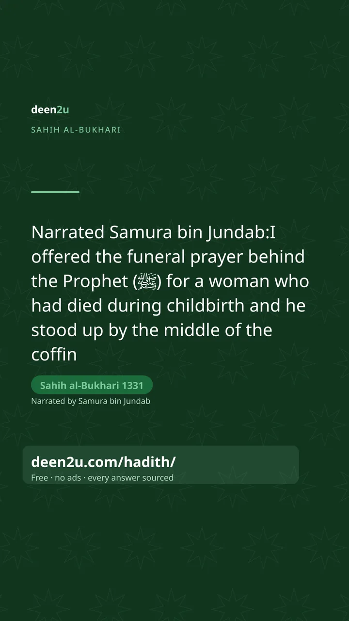 Sahih al-Bukhari 1331