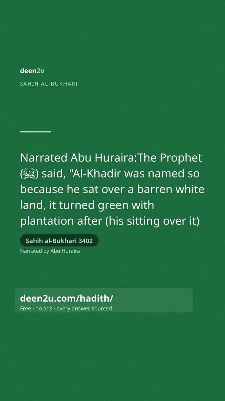 Sahih al-Bukhari 3402