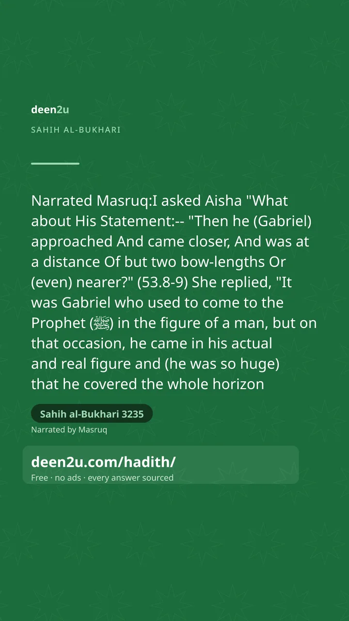 Sahih al-Bukhari 3235