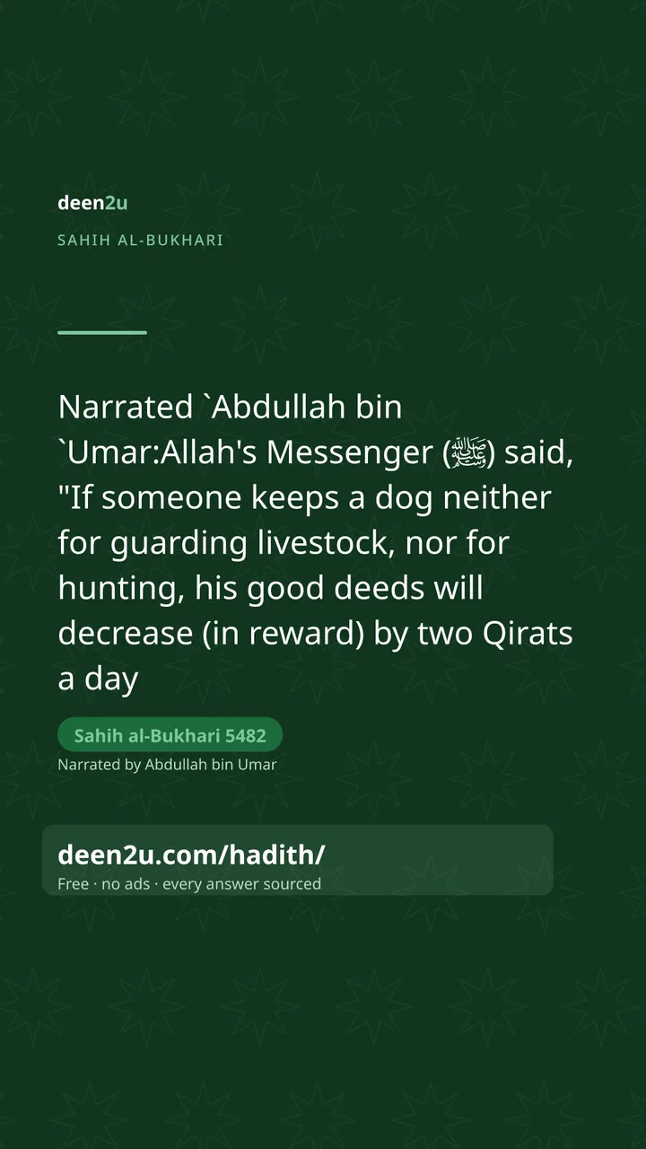 Sahih al-Bukhari 5482