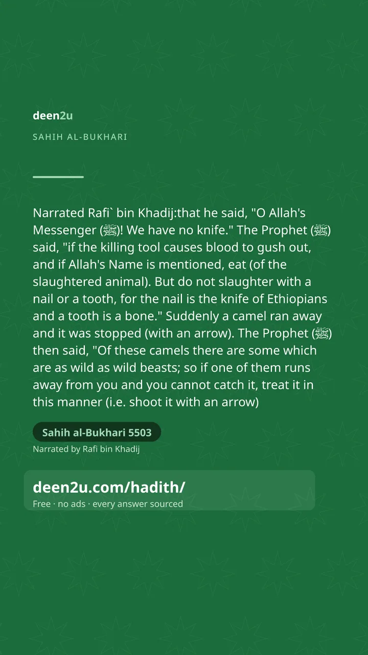 Sahih al-Bukhari 5503