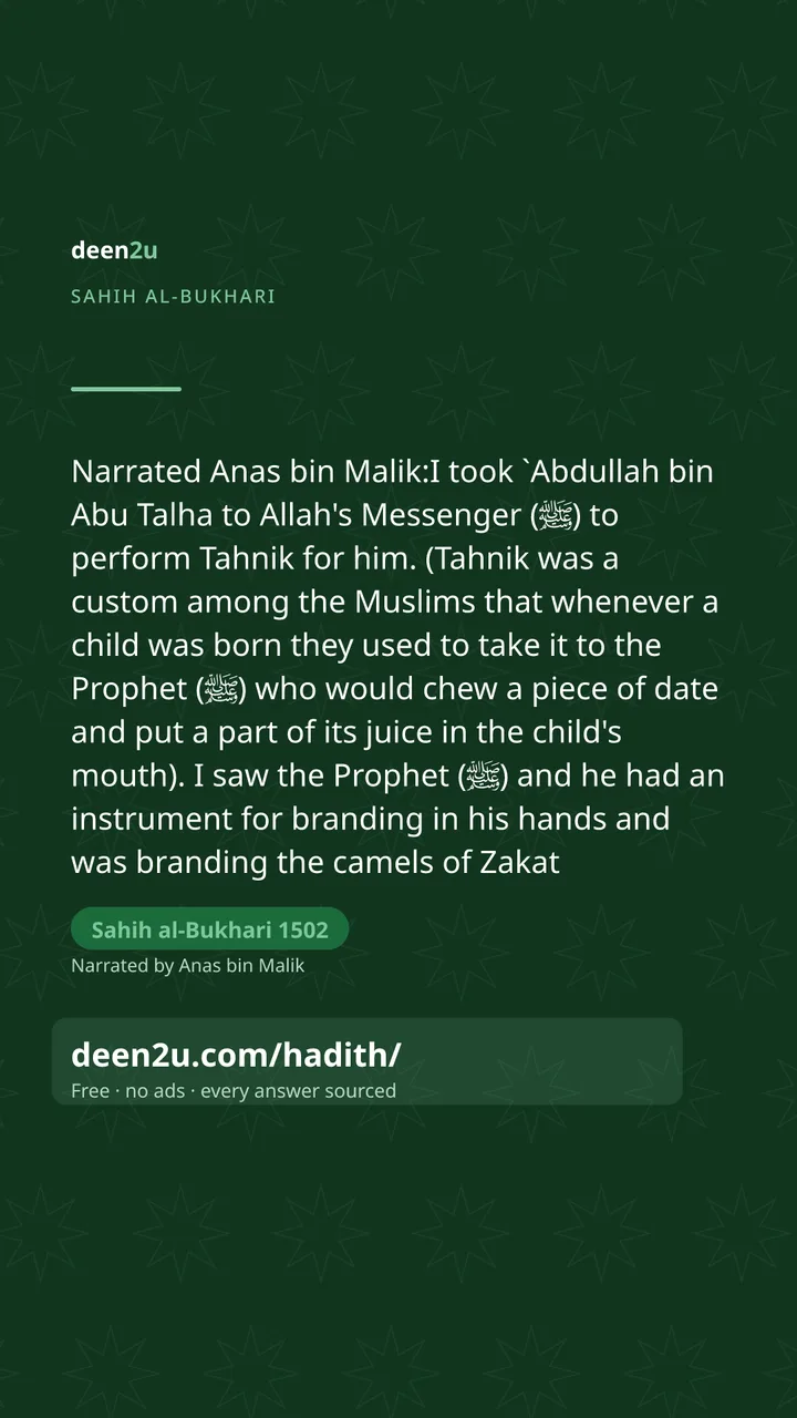 Sahih al-Bukhari 1502