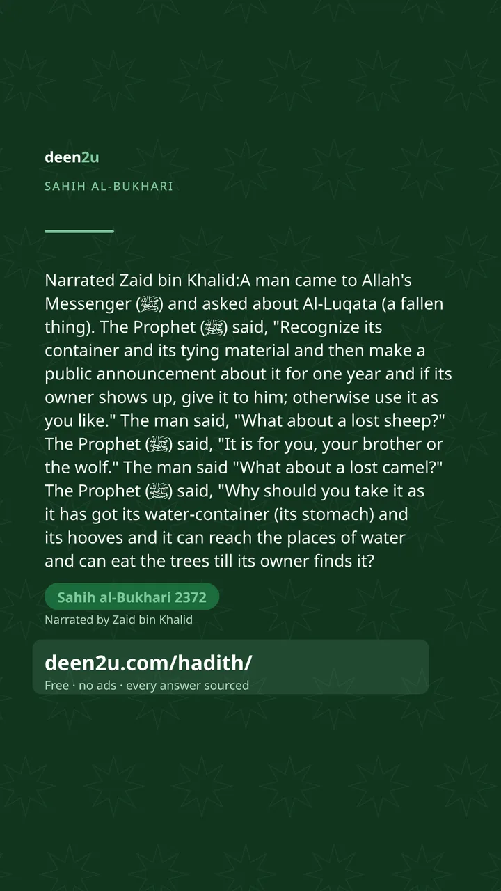 Sahih al-Bukhari 2372