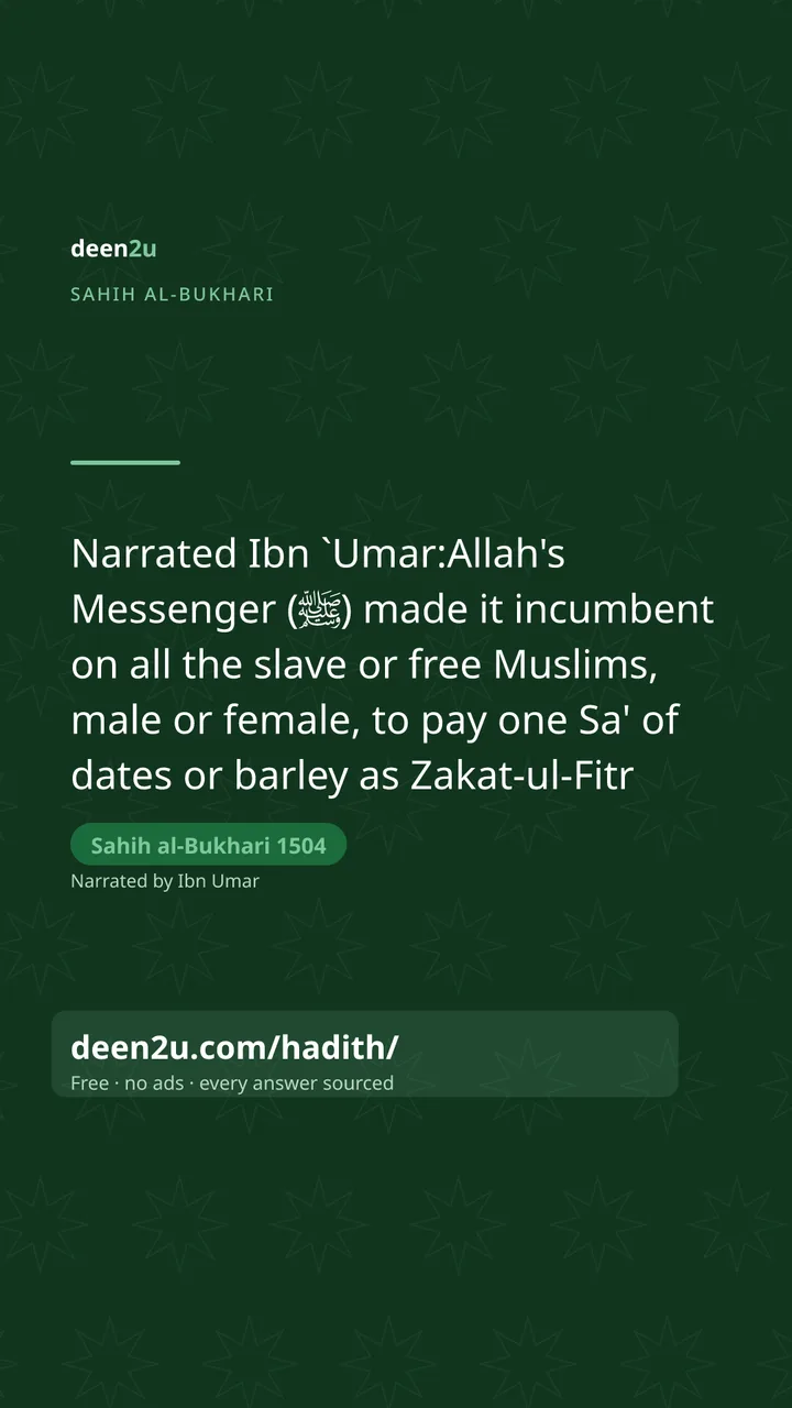 Sahih al-Bukhari 1504