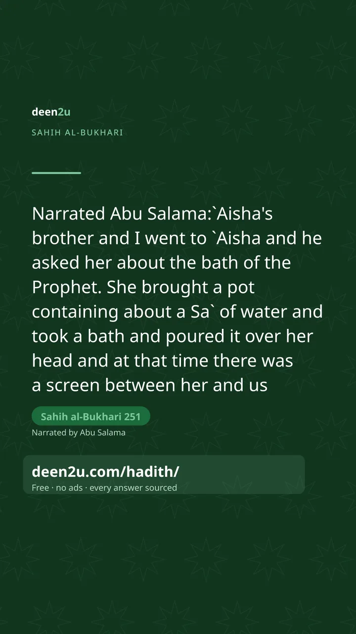 Sahih al-Bukhari 251