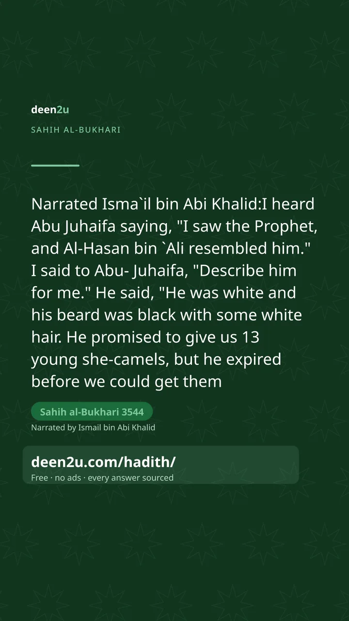 Sahih al-Bukhari 3544