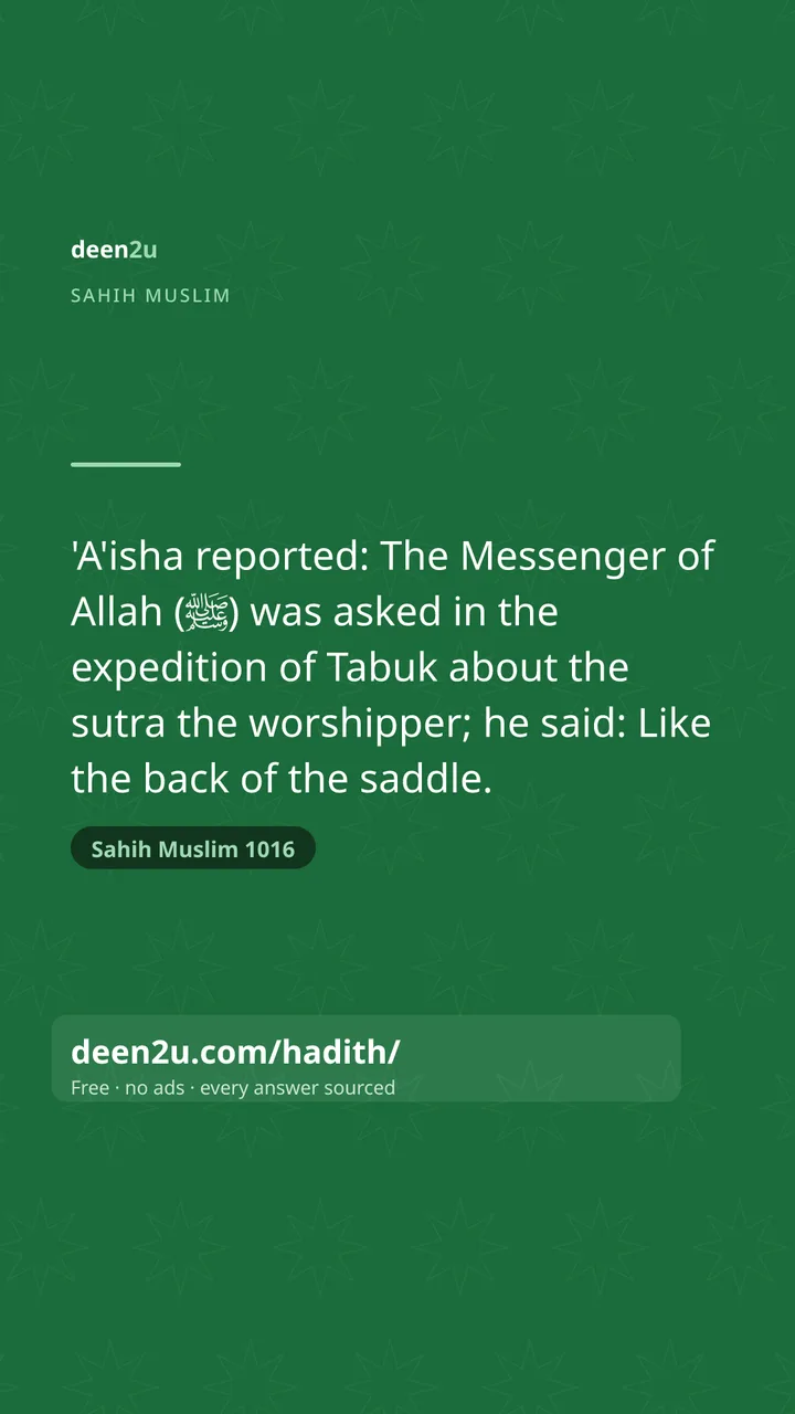 Sahih Muslim 1016