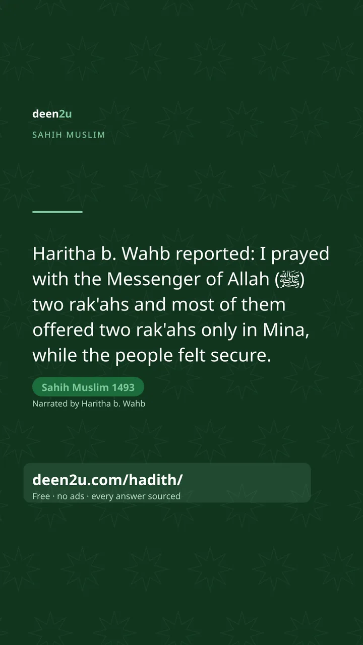 Sahih Muslim 1493