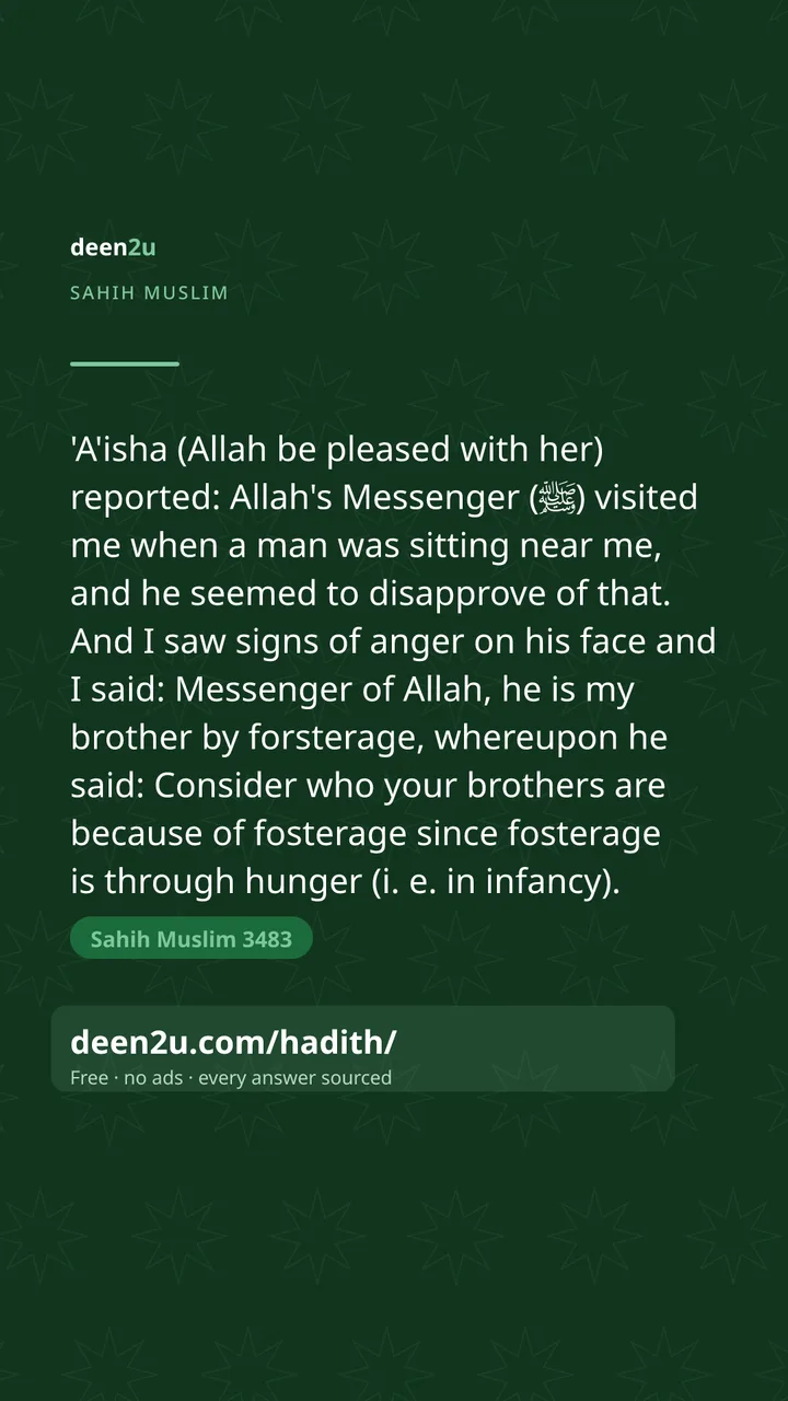 Sahih Muslim 3483