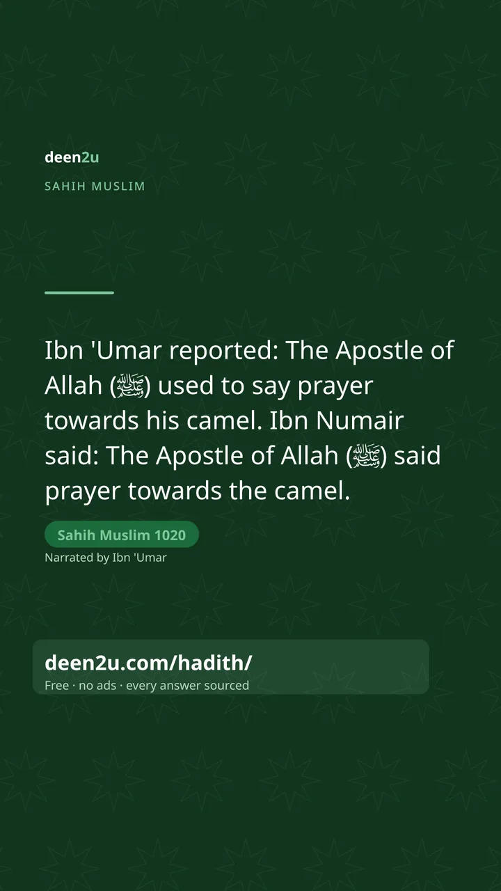 Sahih Muslim 1020