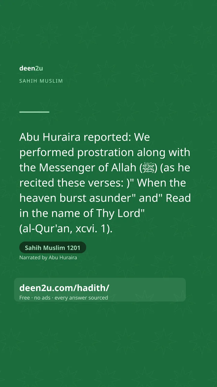 Sahih Muslim 1201