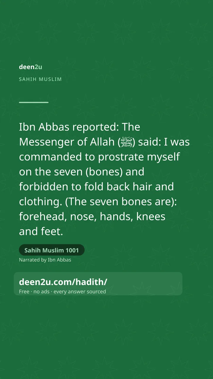 Sahih Muslim 1001