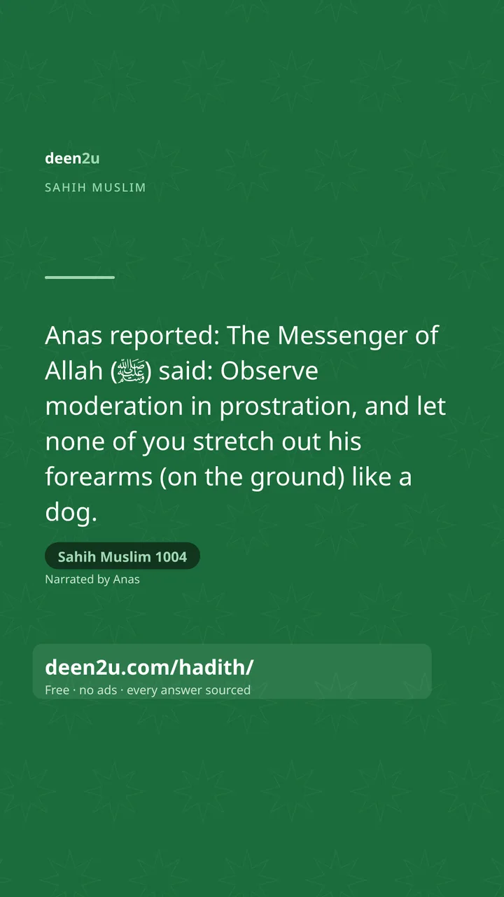 Sahih Muslim 1004
