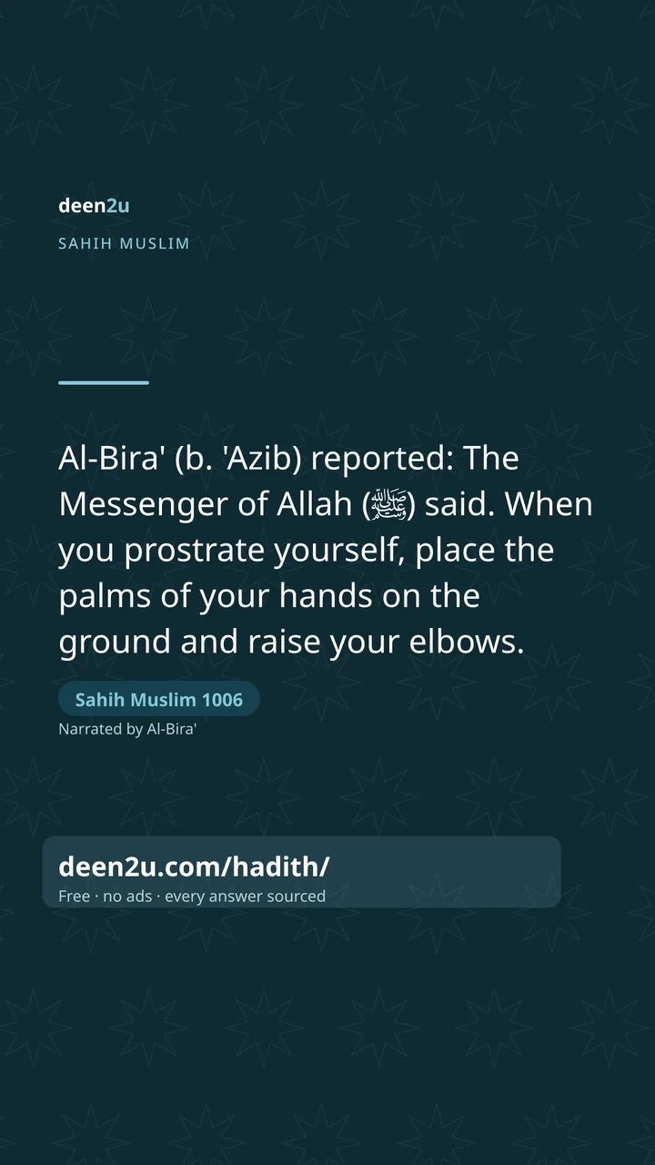 Sahih Muslim 1006