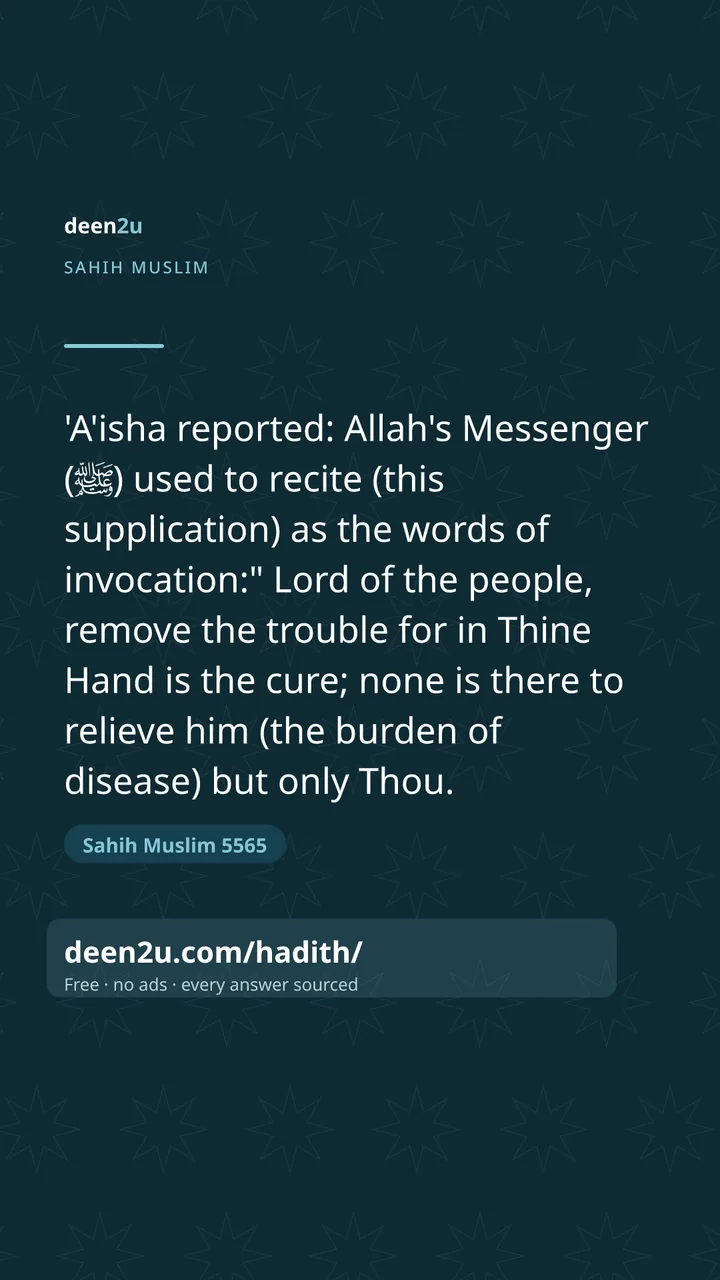 Sahih Muslim 5565