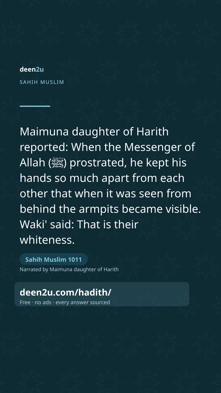 Sahih Muslim 1011