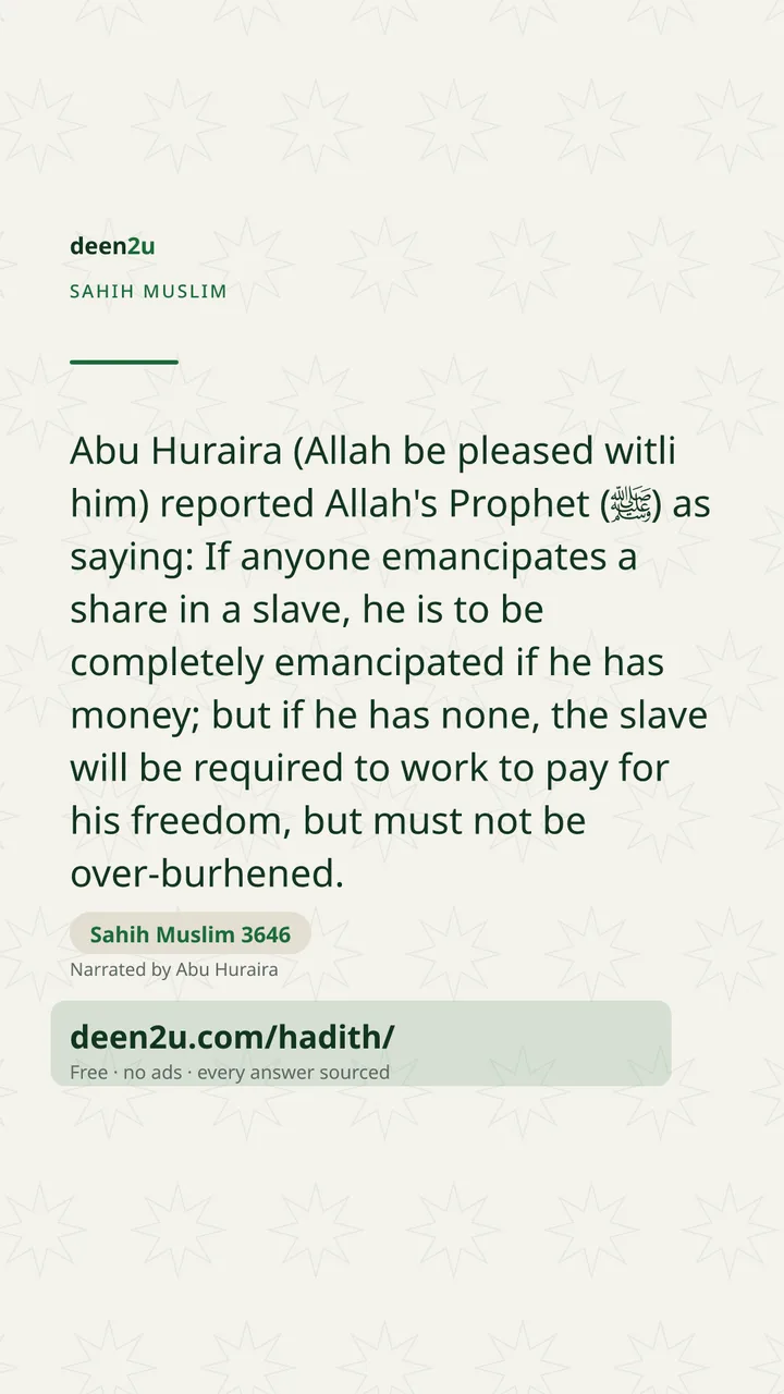 Sahih Muslim 3646