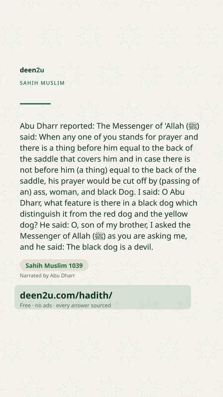 Sahih Muslim 1039