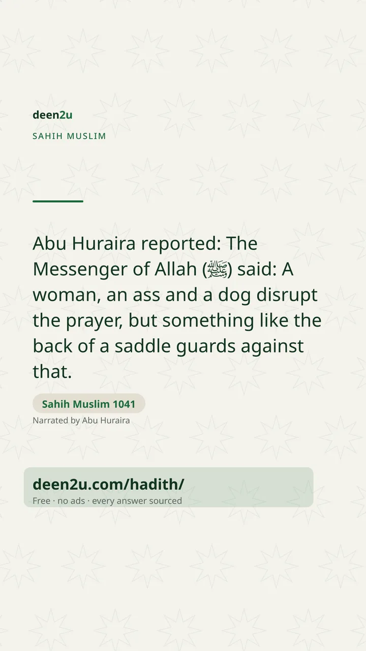 Sahih Muslim 1041