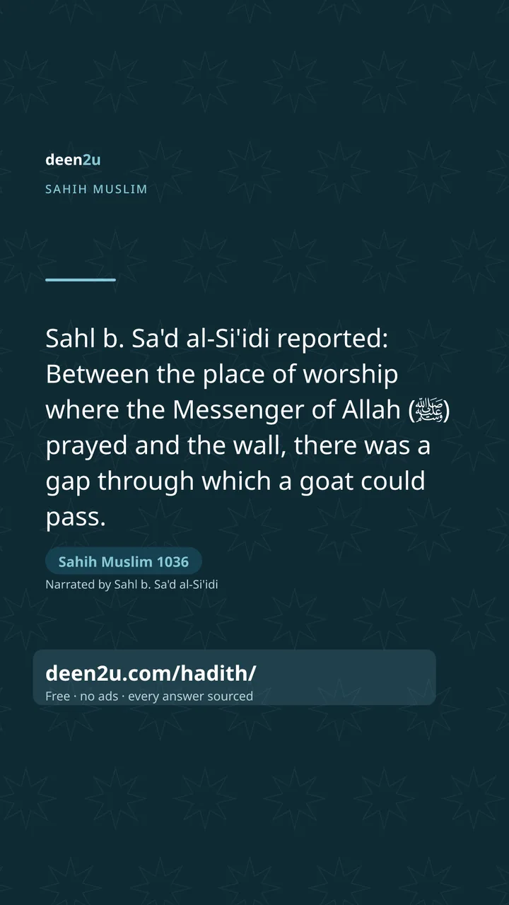 Sahih Muslim 1036