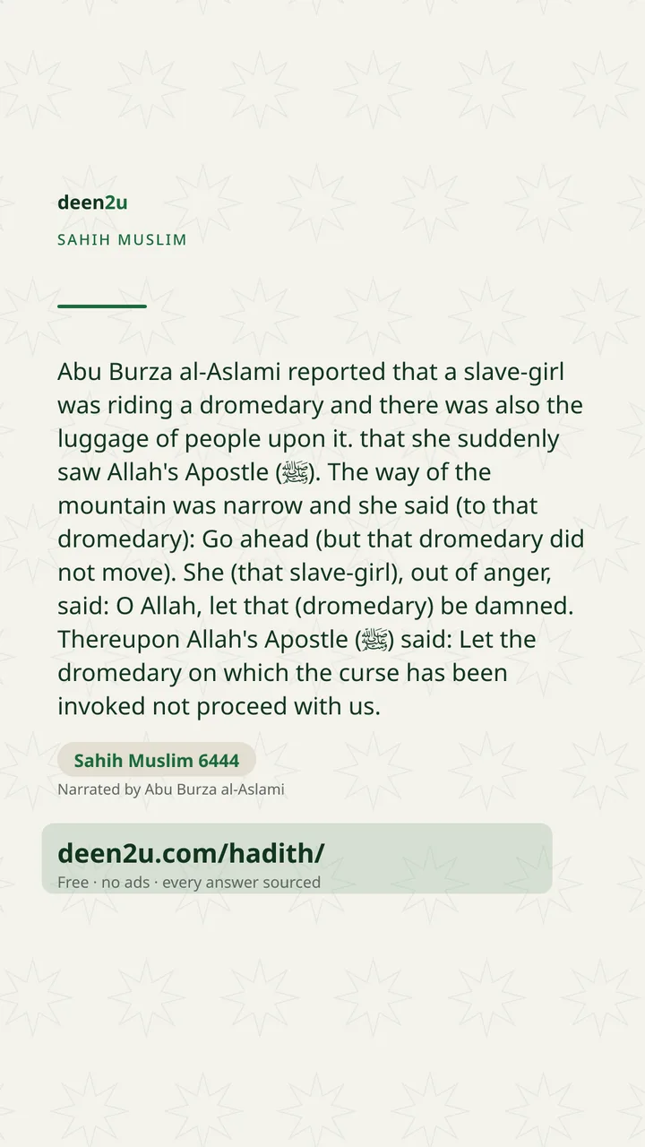 Sahih Muslim 6444