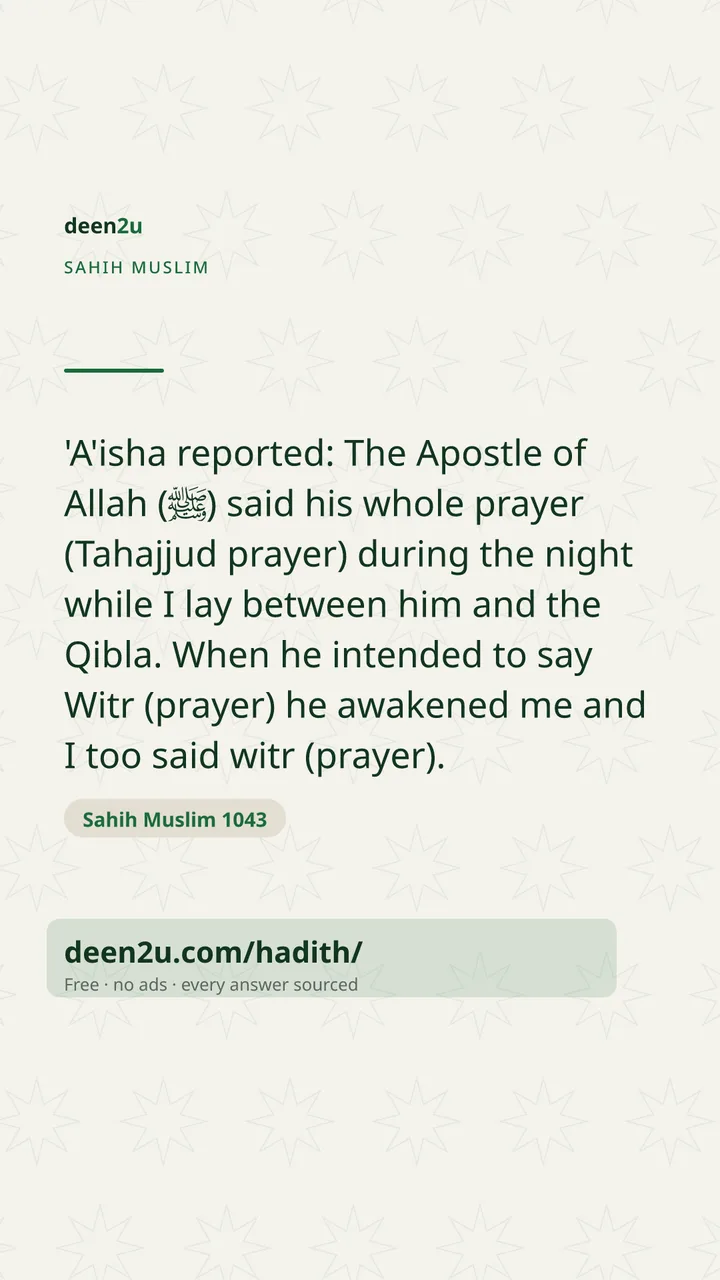 Sahih Muslim 1043