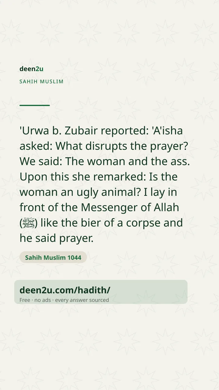 Sahih Muslim 1044