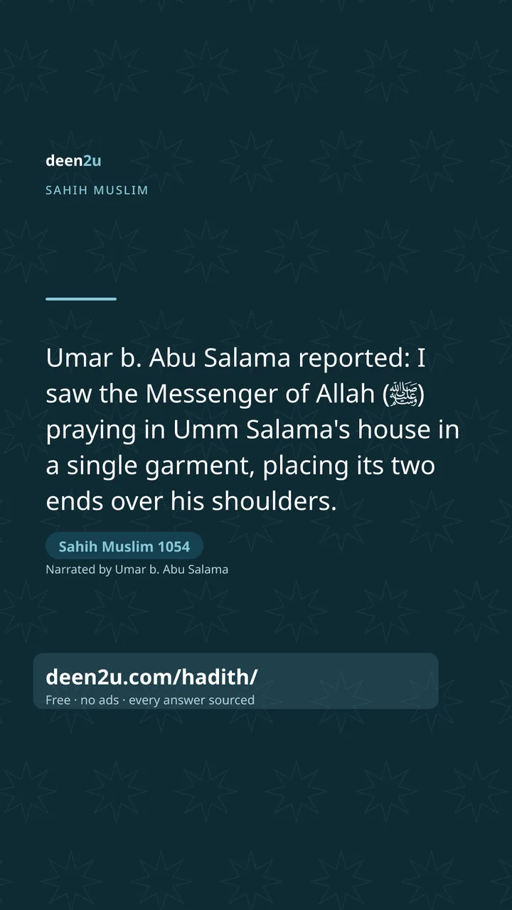 Sahih Muslim 1054