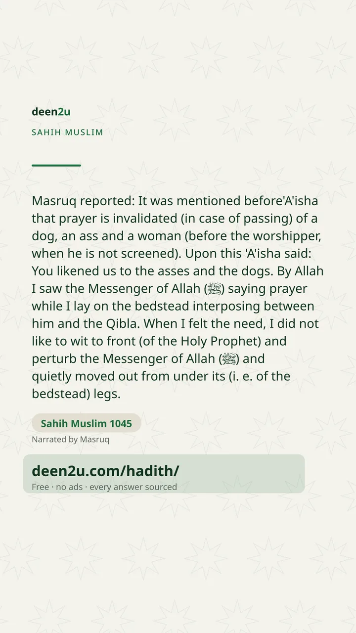 Sahih Muslim 1045