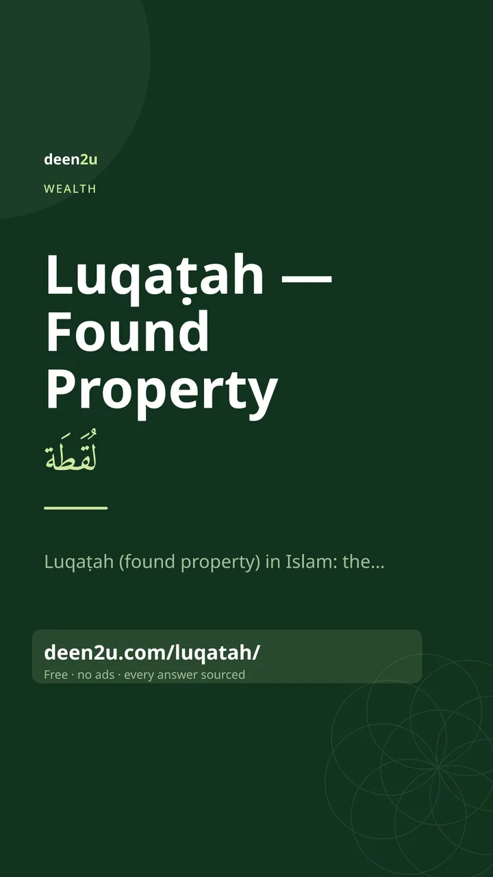 Poster: Luqaṭah — Found Property