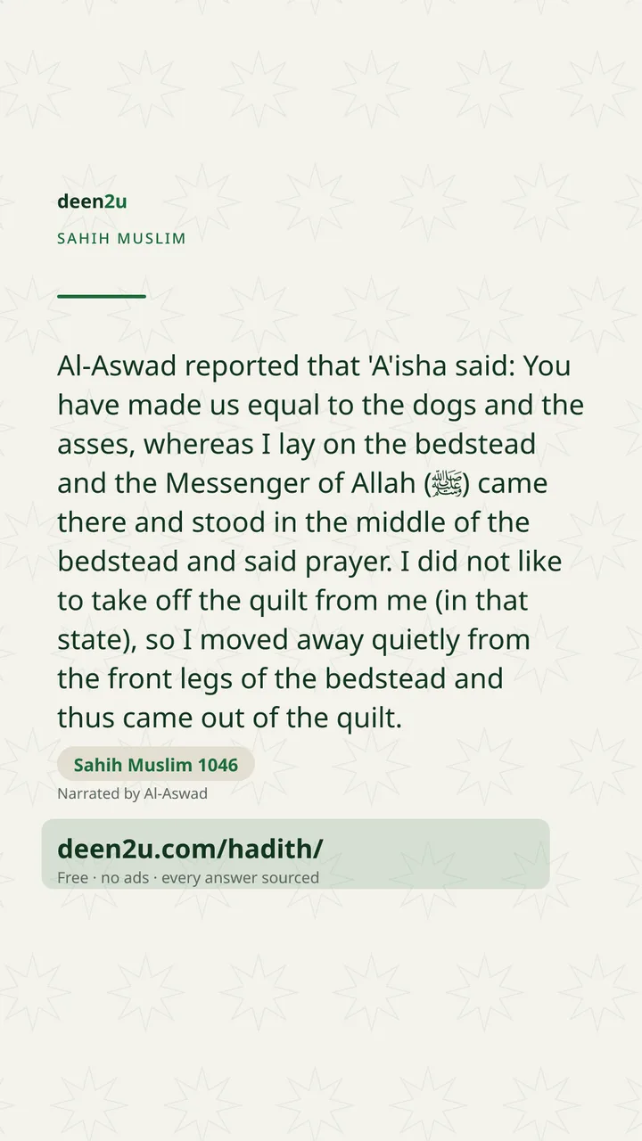 Sahih Muslim 1046