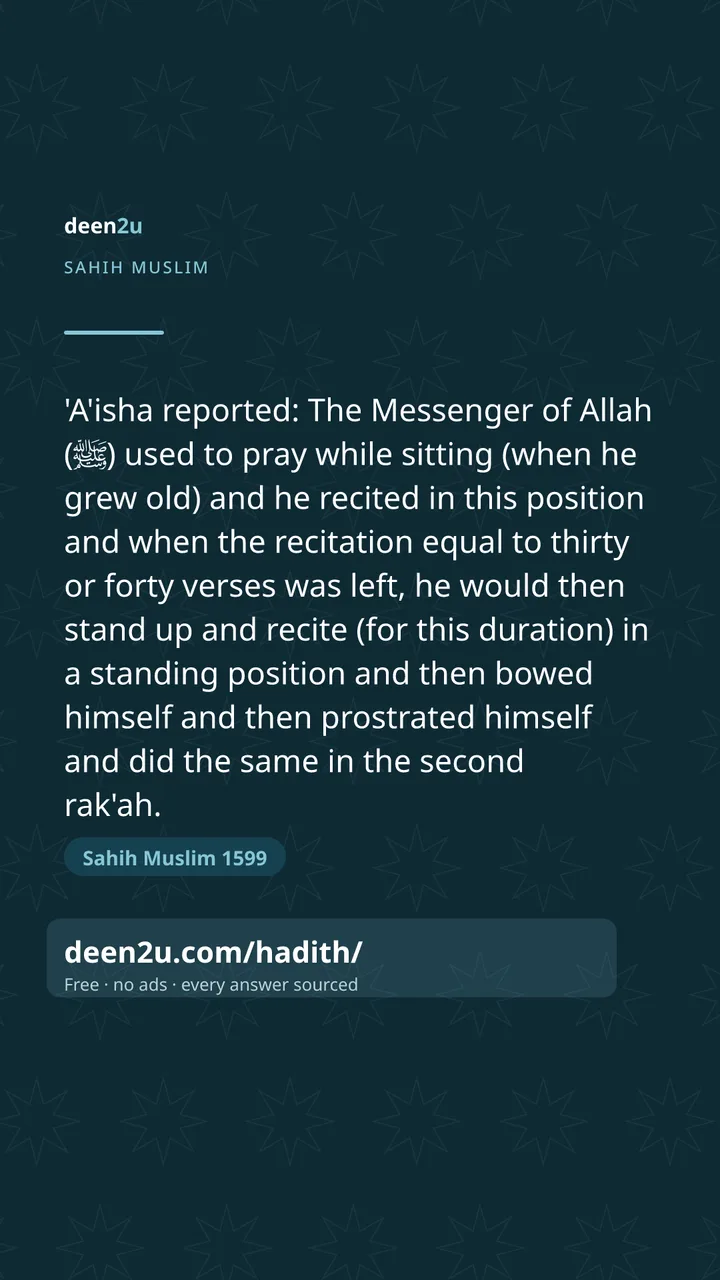 Sahih Muslim 1599