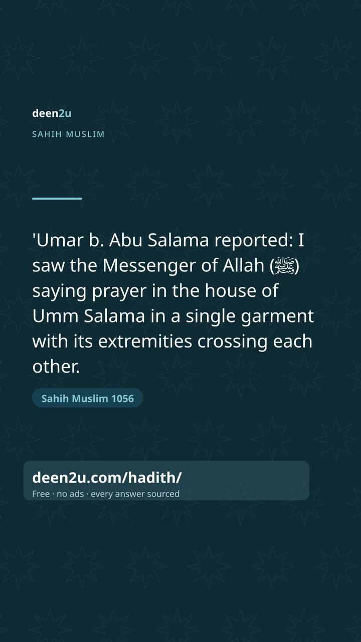 Sahih Muslim 1056