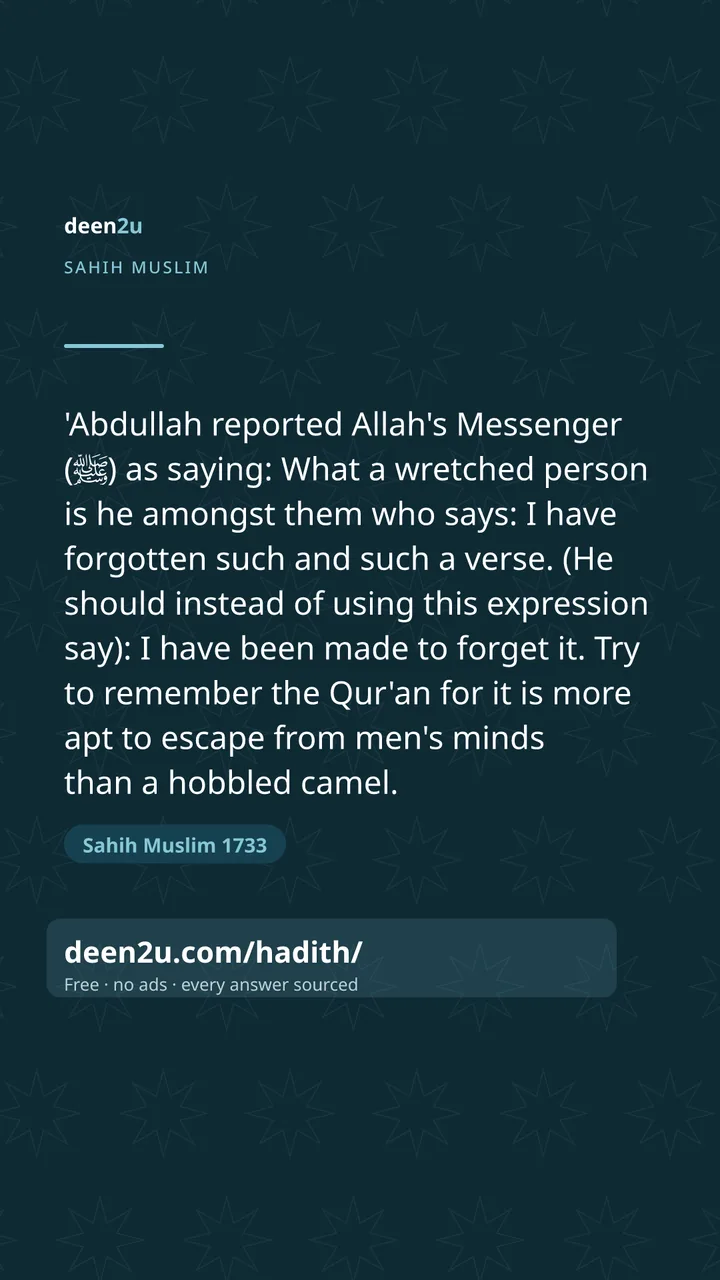 Sahih Muslim 1733