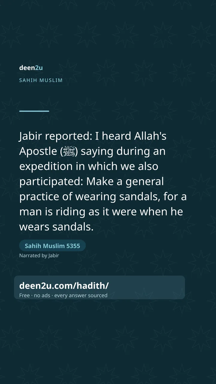 Sahih Muslim 5355