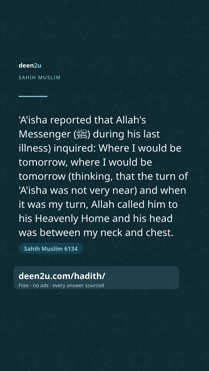 Sahih Muslim 6134