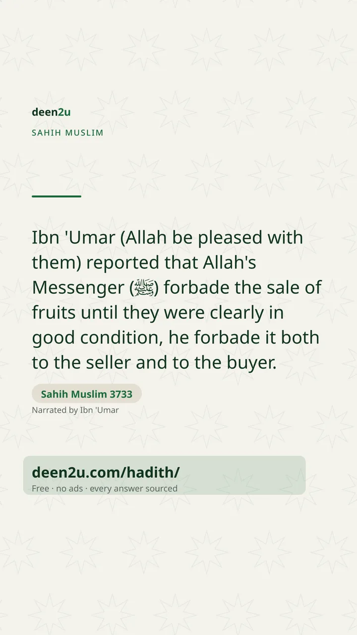 Sahih Muslim 3733