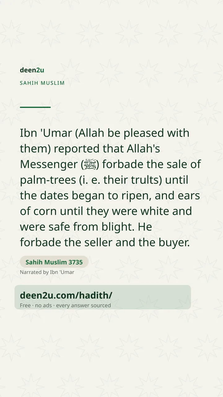 Sahih Muslim 3735