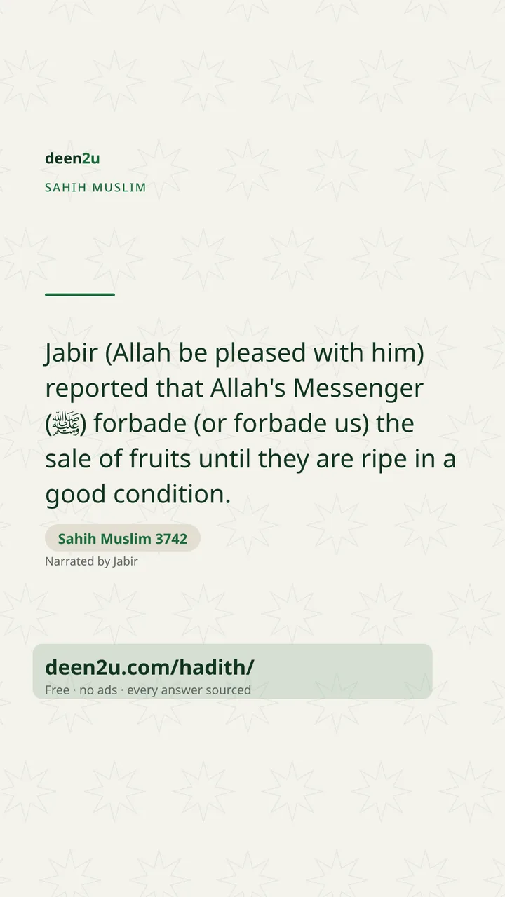 Sahih Muslim 3742